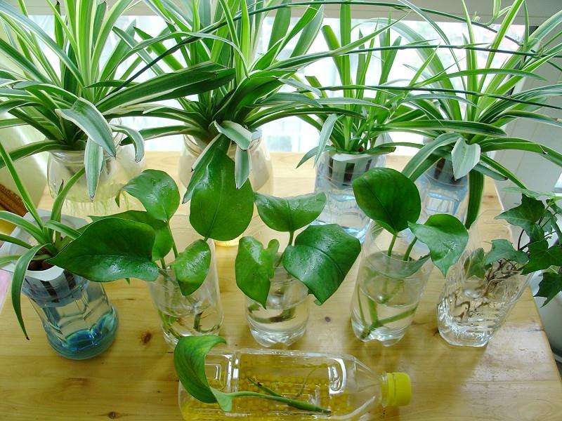 室内甲醛0.1对孕妇胎儿有影响吗,孕妇在新房住三四天甲醛影响大吗