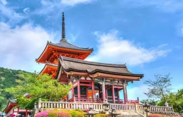 最全旅行干货,日本的干货