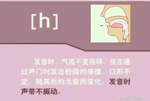 夏沫英语48个音标教学视频,英语音标教学视频48个快速记忆法