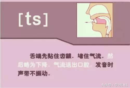 夏沫英语48个音标教学视频,英语音标教学视频48个快速记忆法