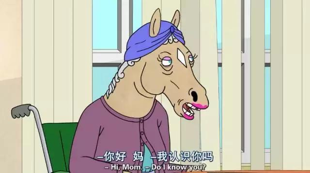 豆瓣9.5漫长的季节,豆瓣9.3一把青