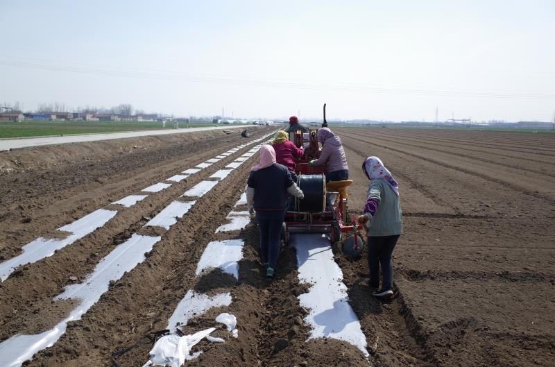 山东清田地膜,清田地膜