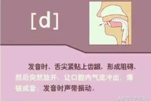 夏沫英语48个音标教学视频,英语音标教学视频48个快速记忆法