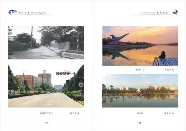 杨凌蘸水面高凤香,杨陵杨凌