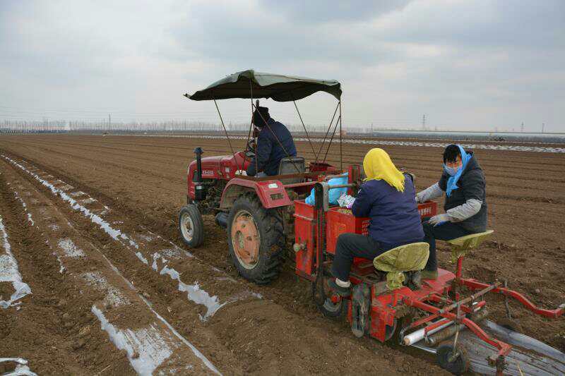 清田塑业降解地膜,山东生物降解地膜厂家