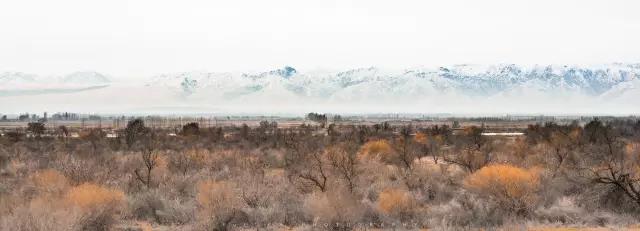 回顾：旧梦之域，新辟之疆‖这是一个让我魂萦梦绕的地方