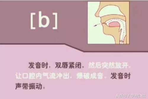夏沫英语48个音标教学视频,英语音标教学视频48个快速记忆法