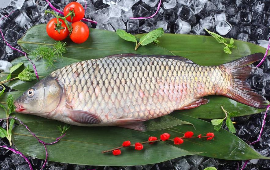 青鱼草鱼鲢鱼鳙鱼被称为四大家鱼,河鱼鲢鱼大头鱼有什么区别