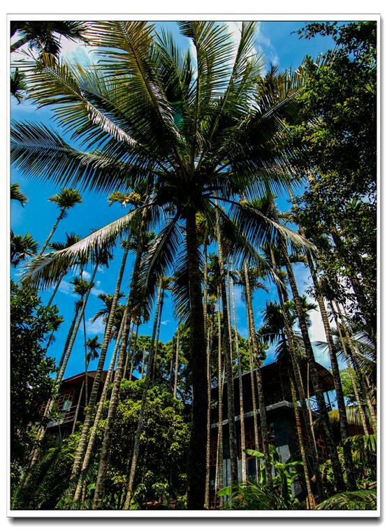 三亚行迹星辰旅行,三亚的空气质量在世界排行