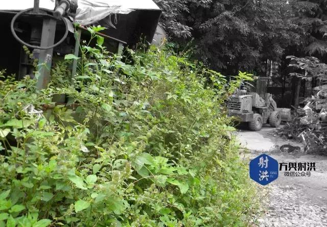 除了7449和3536，射洪还有哪些军工记忆？丨文小灰