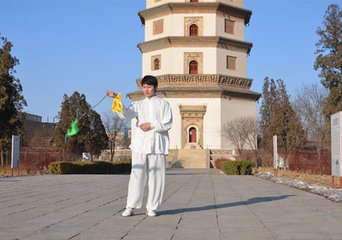 中国武术九连鞭,武术传统器械九节鞭动作方法