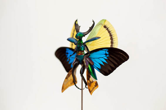 木子文艺——浅谈什么是文学