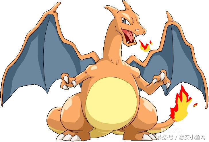 在闽南不仅有四脚蛇，还有四脚鱼，也叫“中国火龙”！