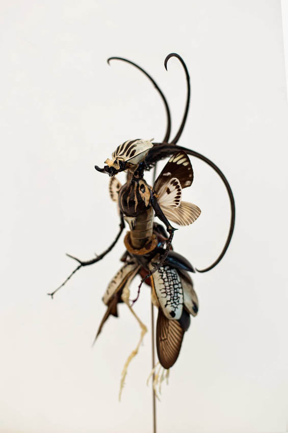 木子文艺——浅谈什么是文学