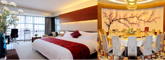 天津经济实惠酒店推荐,天津旅游酒店推荐排名榜前十名