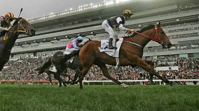 你不知道的十件事纪录片,你不知道的那些鸡毛蒜皮的事