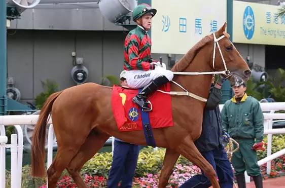 你不知道的十件事纪录片,你不知道的那些鸡毛蒜皮的事