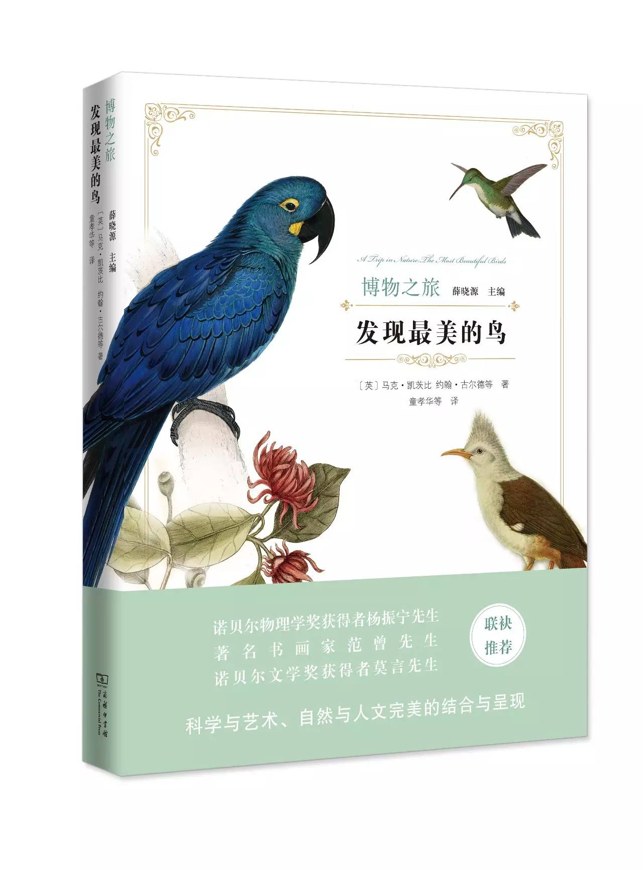 那些惊艳的鸟儿,那些绝美的鸟