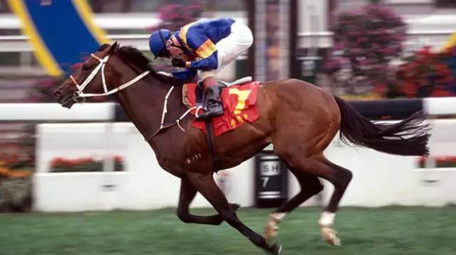 你不知道的十件事纪录片,你不知道的那些鸡毛蒜皮的事