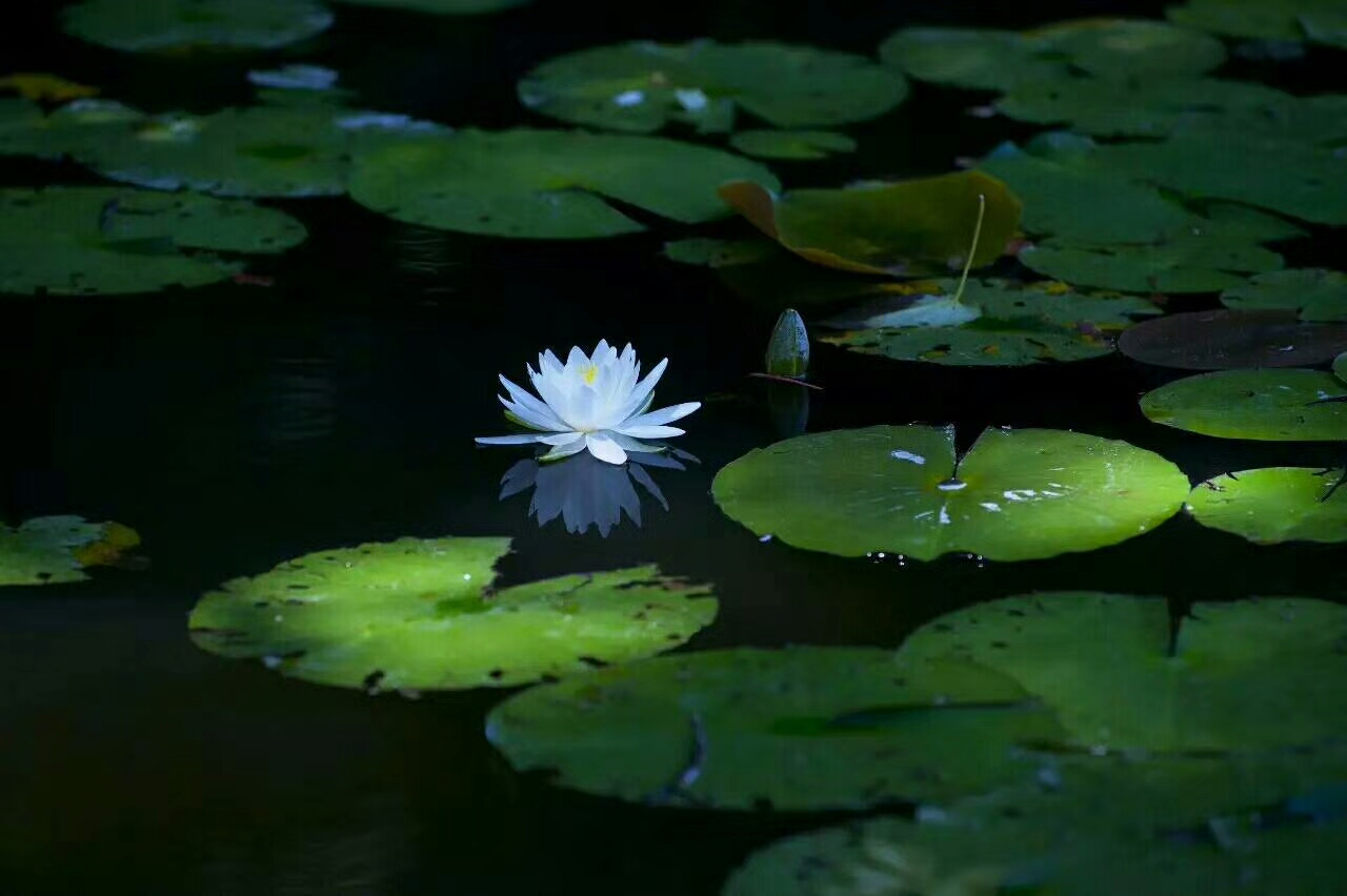 你身边有哪些高情商说话的人,你身边有诚实守信靠谱的人