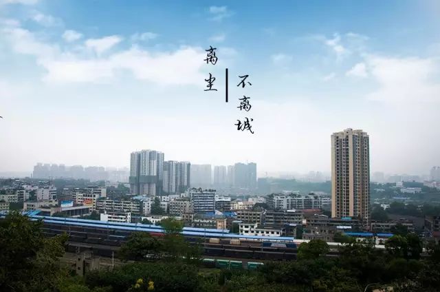 离主城最近的森林公园,离尘不离城的视频