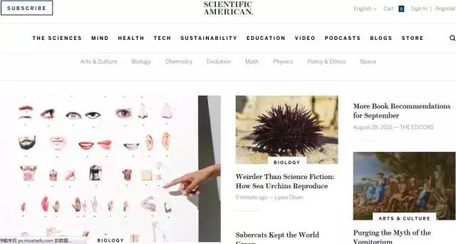 吐血整理雅思备考经验帖,吐血整理超全golang