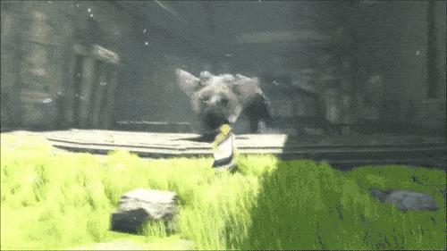 thelastguardian中文设置,thelastguardian结局