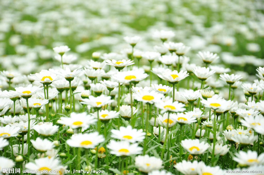 戴着3d眼镜可以看的儿童电影,3d电影小孩不戴眼镜可以看清吗