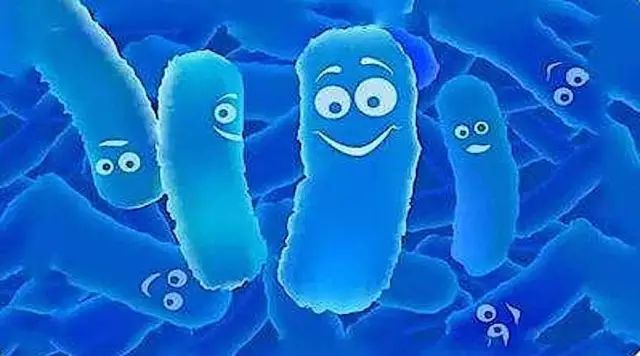 外国的益生菌适合中国人吃吗,国外益生菌有多少品种