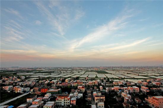 对话|横栏水乡未来五年会变得如此繁华！快听劳国南说了啥？