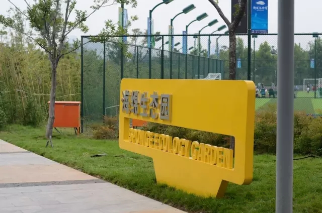 美丽的郑州北龙湖湿地公园,郑州北龙湖湿地公园初冬游记