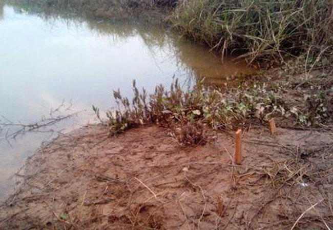 野河钓甲鱼口诀,屎打窝钓鱼效果