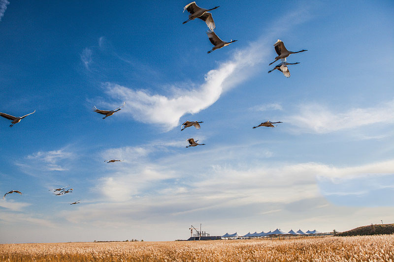 看旅游景点猜中国地名,看城市别称猜地名