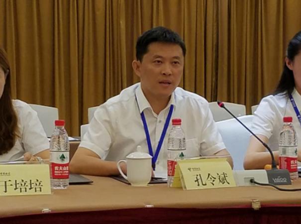 中国电信小灵通,中国电信三转三化