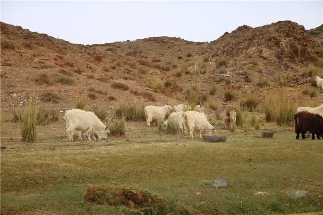 人生上半场和下半场的说说,人生上半场拼的和下半场拼的感言