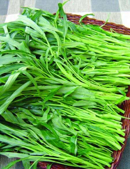 潮汕炒空心菜放鱼露吗,鳝鱼炒空心菜潮汕味