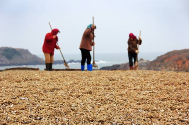 爸爸去哪拍摄地广东,爸爸去哪儿黄河拍摄地