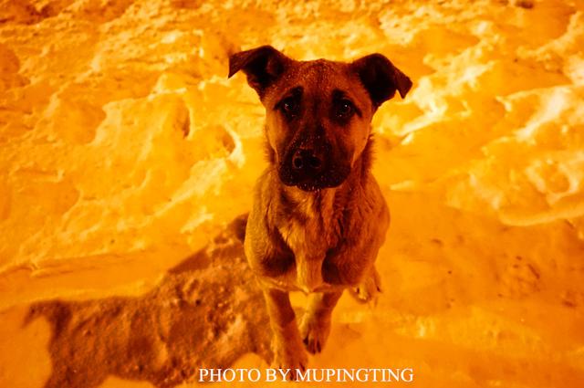 俄罗斯人的彪悍行为,俄罗斯人的性格有多彪悍