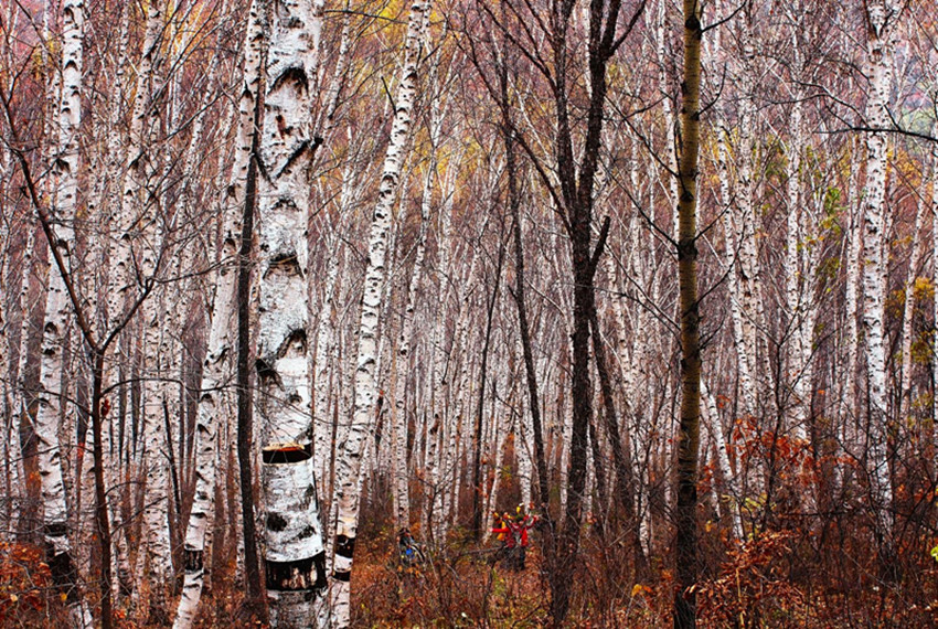 喇嘛沟景区游览攻略,北京喇叭沟旅游攻略