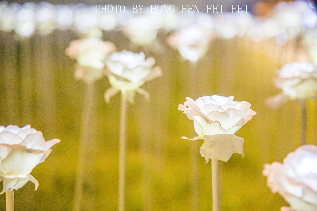 韩国东大门什么物流靠谱,韩国东大门生意火爆