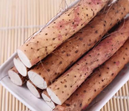 一根神奇的铁棍山药,每天吃一根铁棍山药好不好