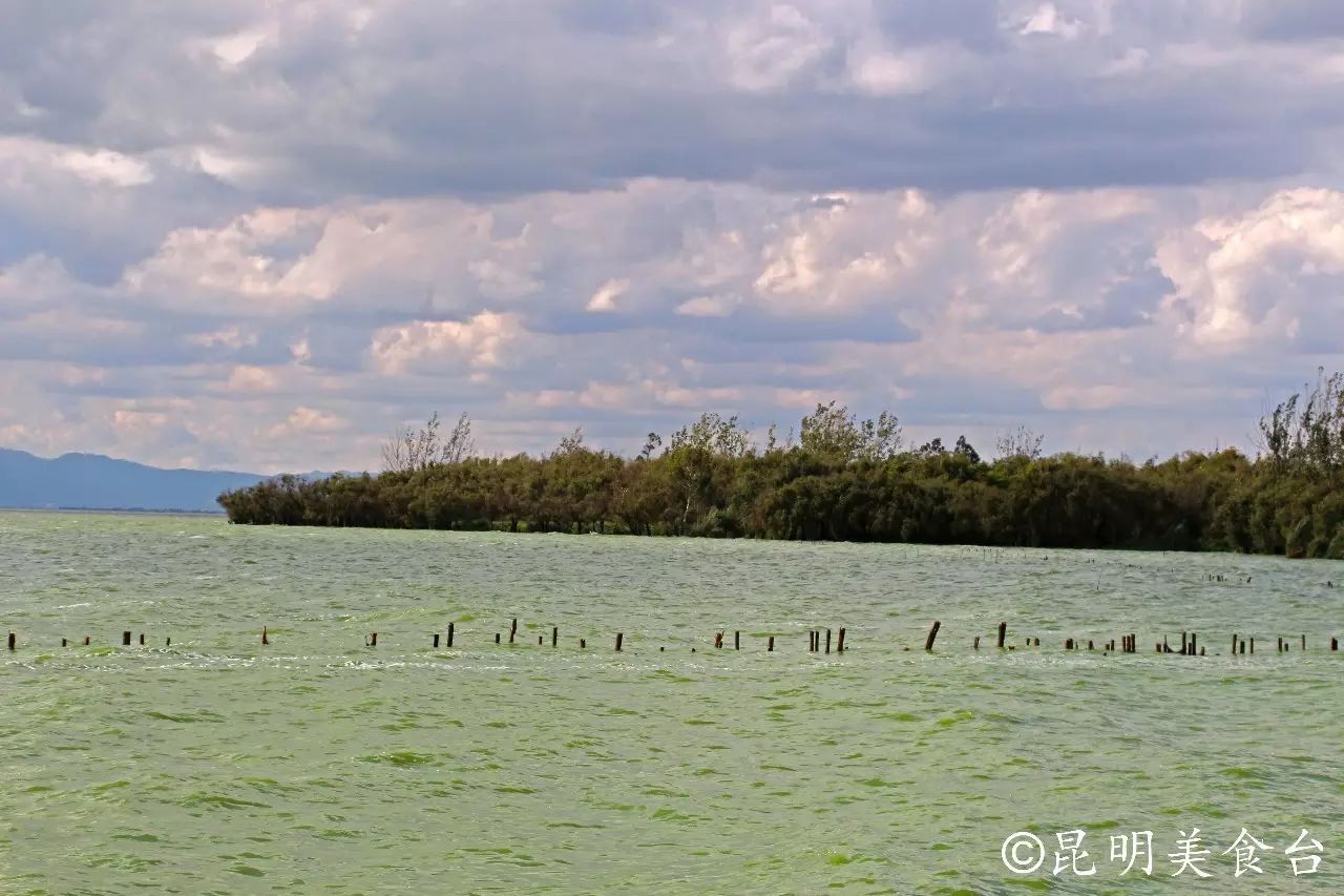 昆明捞鱼河公园万株野花如期绽放，国庆节踩烂2张共享单车也得去