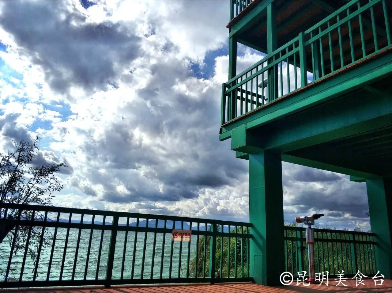 昆明捞鱼河公园万株野花如期绽放，国庆节踩烂2张共享单车也得去