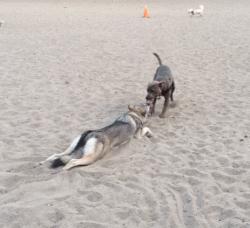 搞笑奇葩结婚风俗新郎,盘点那些新郎结婚时搞笑场景