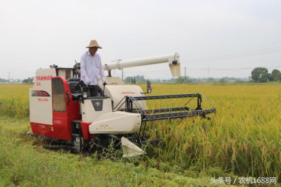 洋马收割机操作全过程,洋马收割机第一视角