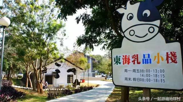 台湾八天自由行攻略,台湾亲子自由行攻略