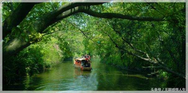 嘉善县是不是百强县,全国百强县浙江省嘉兴市嘉善县