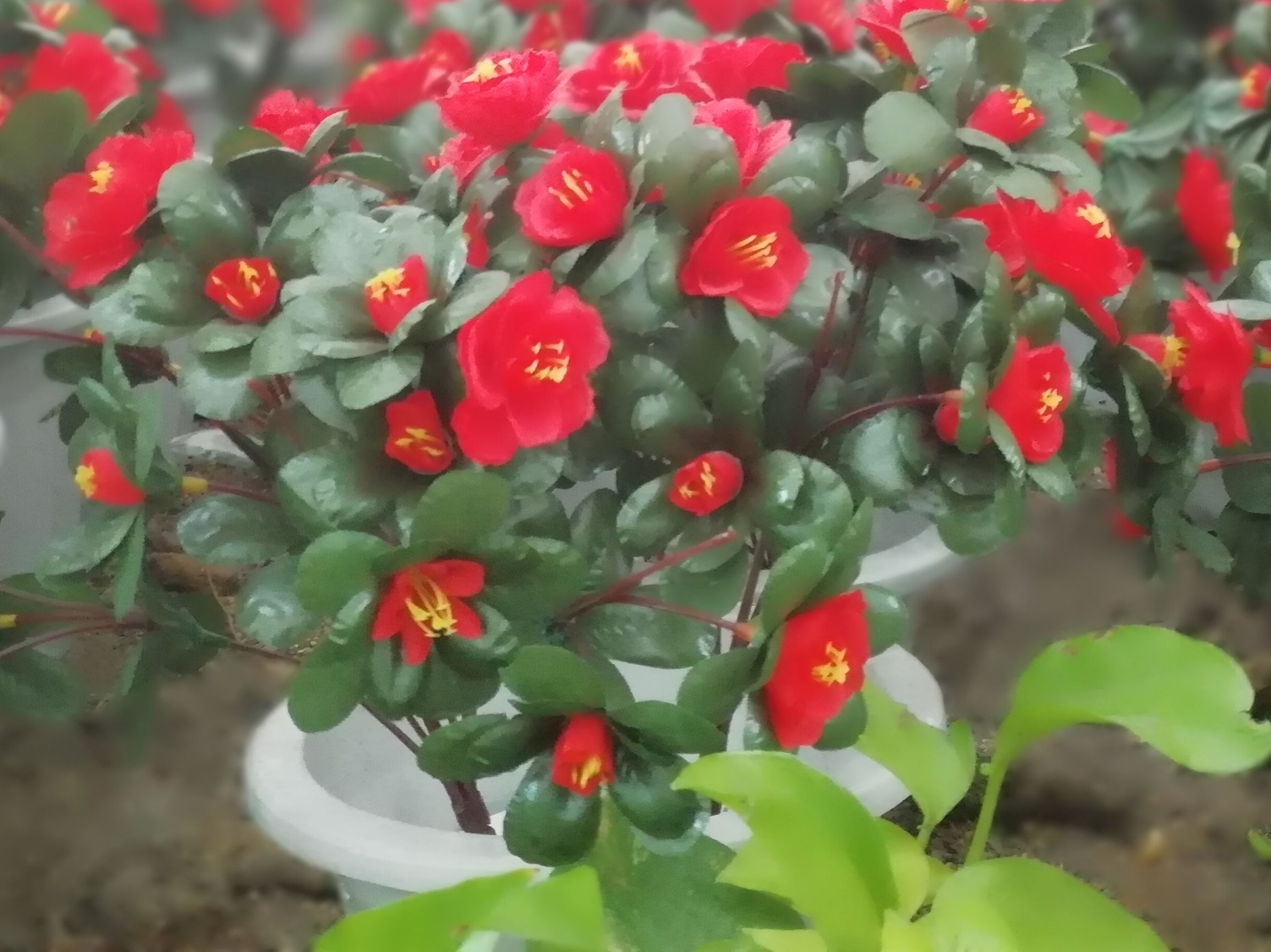 怎样享受生活才让自己活得有意义,怎样活在当下