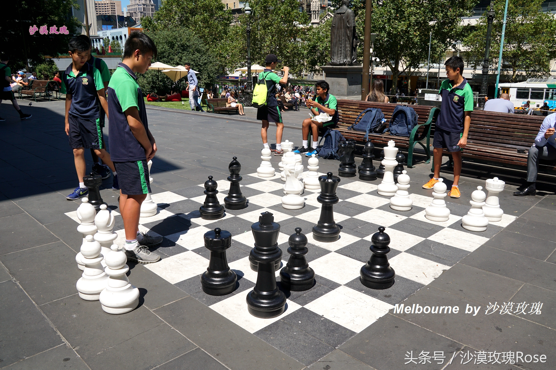 这座图书馆任何人都可以免费借阅,因何成了澳洲“网红”?