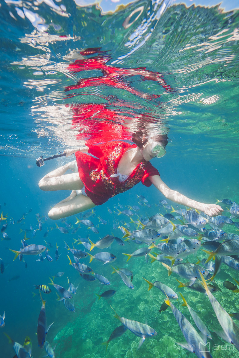 帕劳出海攻略,帕劳旅行攻略图文大全